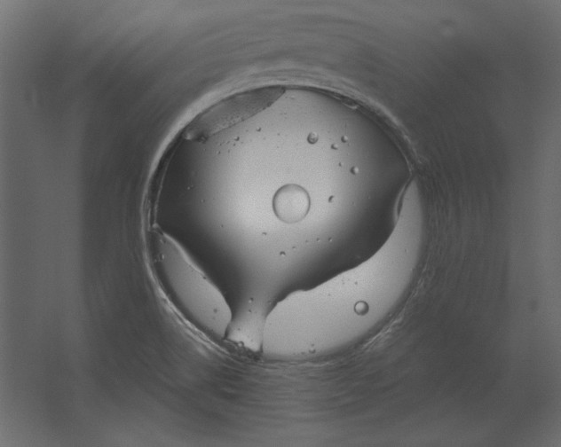 X0000067471514200604211553