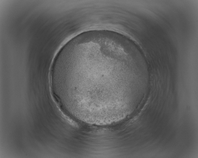 X0000067471517200604211553