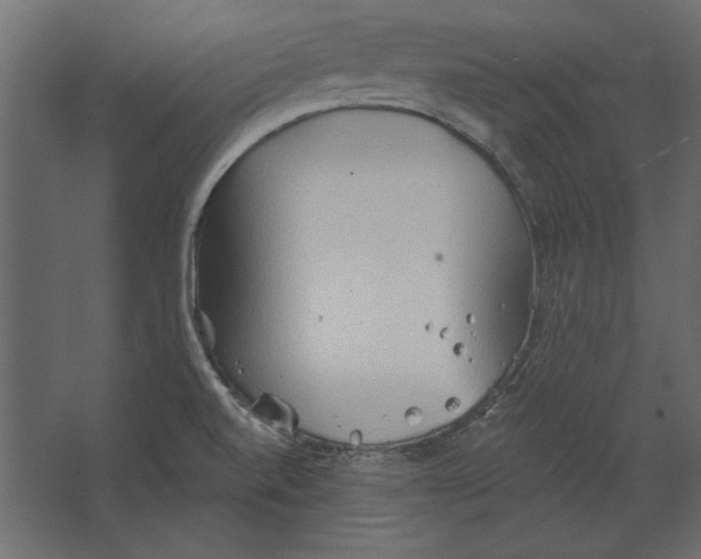 X0000067471520200604211553