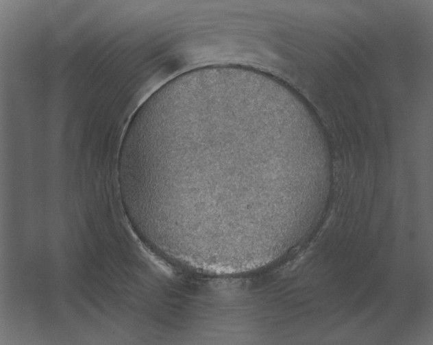 X0000067471521200604211553