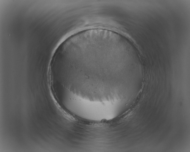 X0000067471522200604211553