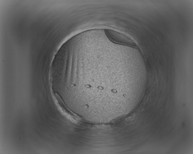 X0000067471526200604211554