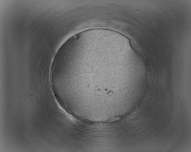 X0000067471527200604211554