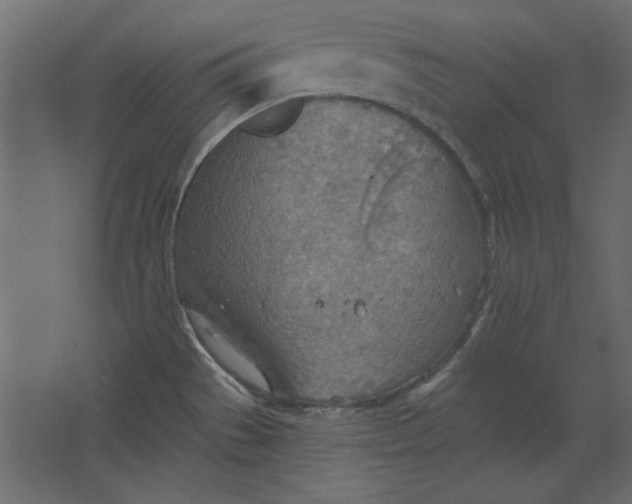 X0000067471529200604211554