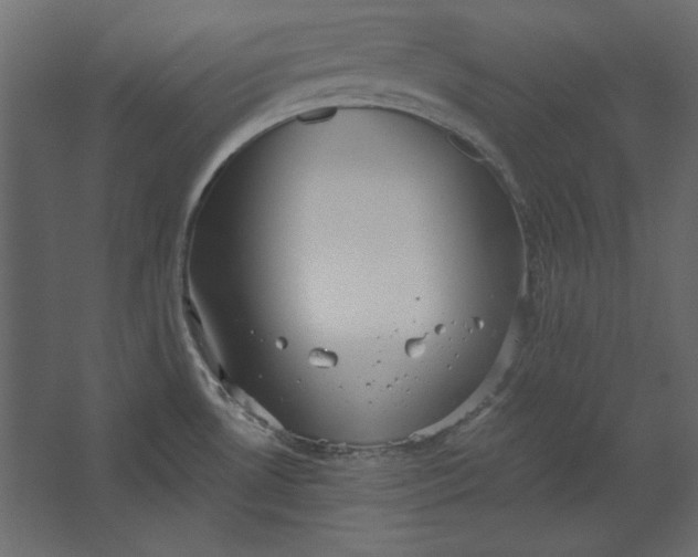 X0000067471530200604211554