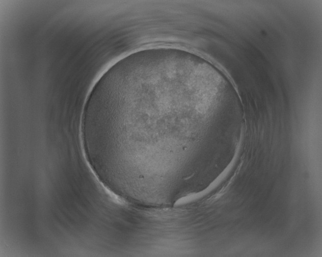 X0000067471533200604211554