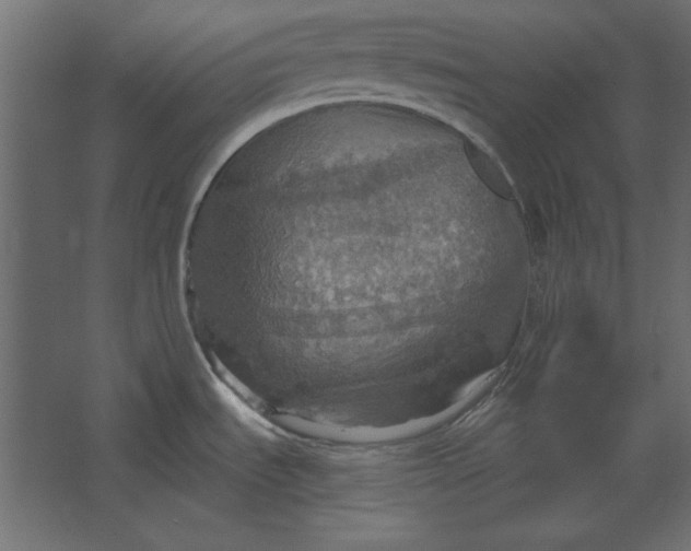 X0000067471535200604211554