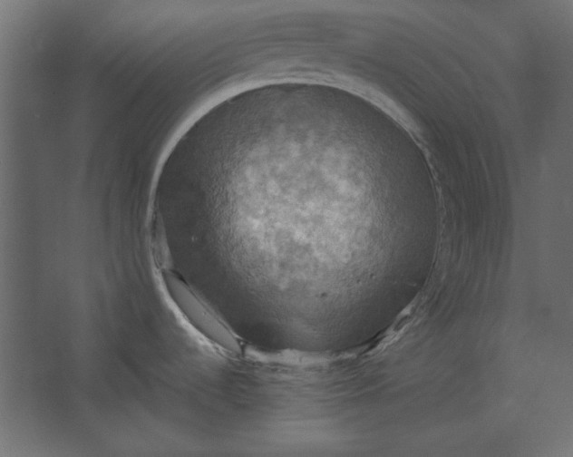 X0000067471536200604211554