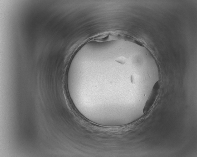 X0000067470001200604281906