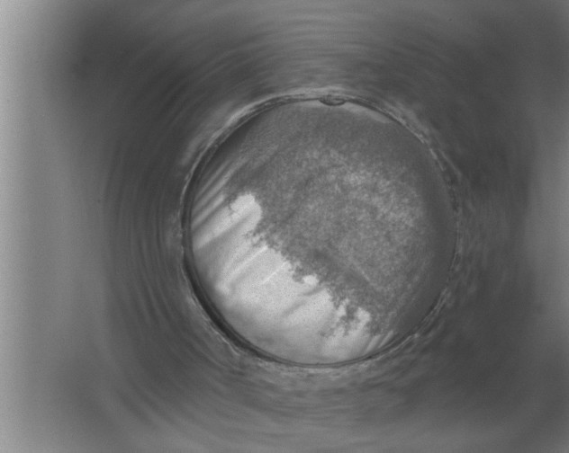 X0000067470002200604281906