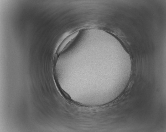 X0000067470003200604281906