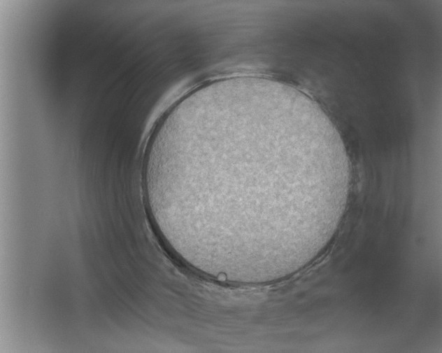 X0000067470004200604281906