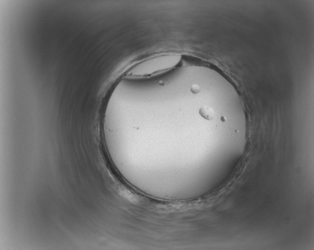 X0000067470005200604281906