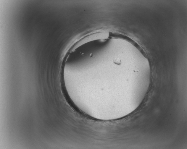 X0000067470007200604281906