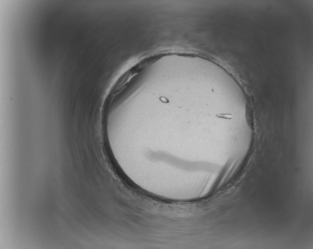 X0000067470008200604281906