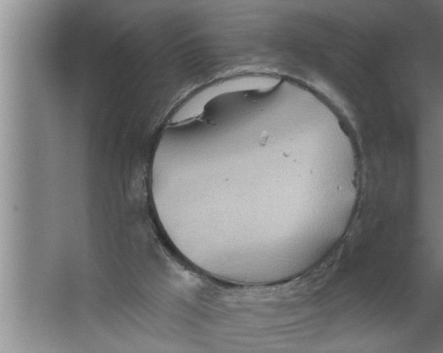 X0000067470009200604281906