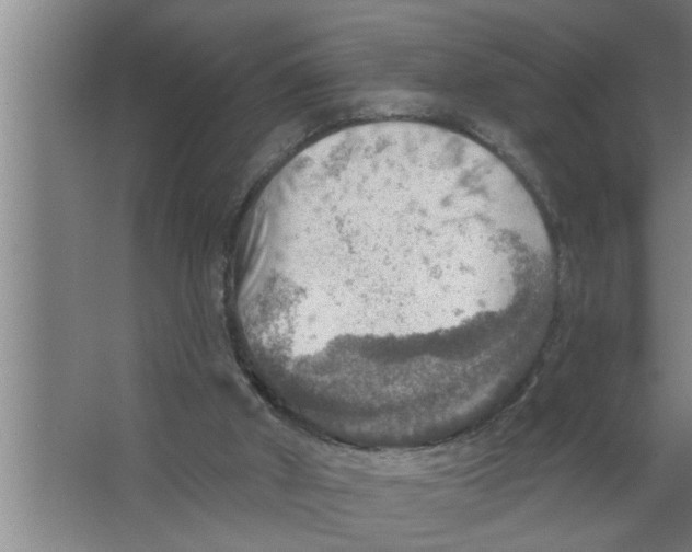 X0000067470010200604281906