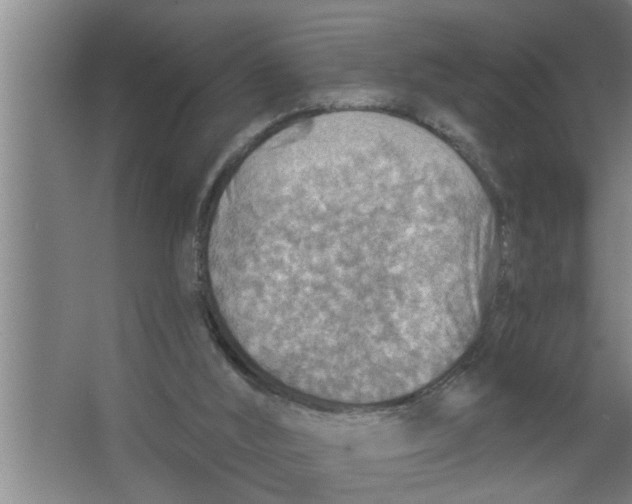 X0000067470012200604281906