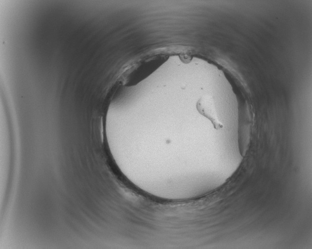 X0000067470013200604281906