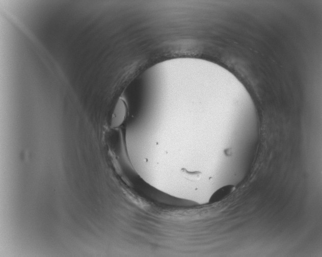 X0000067470017200604281906