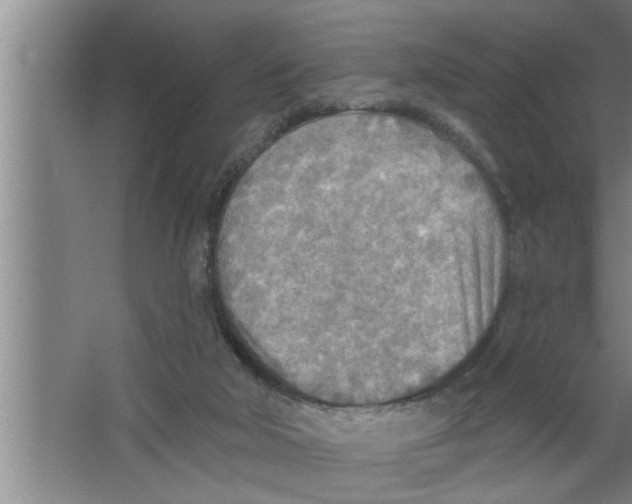 X0000067470018200604281906