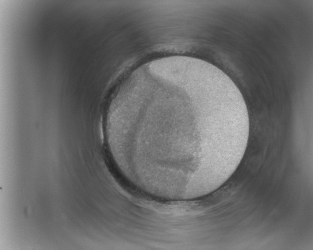 X0000067470020200604281906