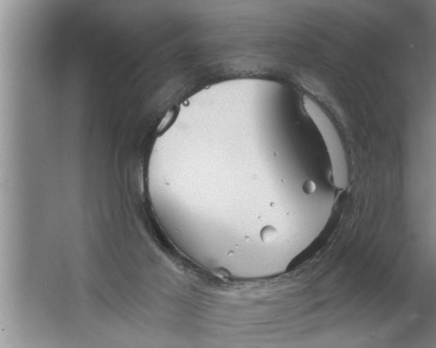 X0000067470021200604281906