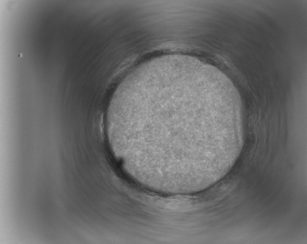 X0000067470024200604281906