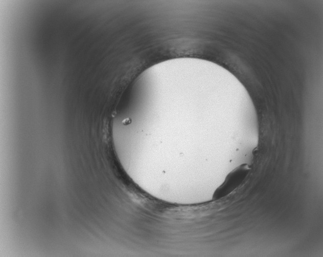 X0000067470025200604281906