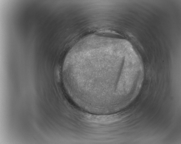 X0000067470026200604281906