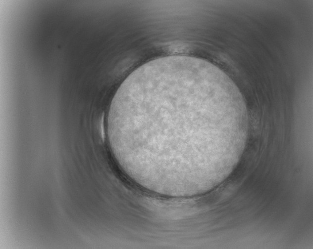 X0000067470028200604281906