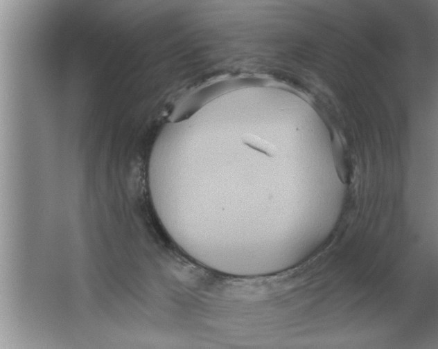 X0000067470029200604281906