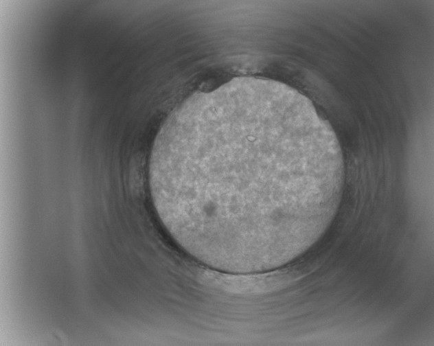 X0000067470030200604281906