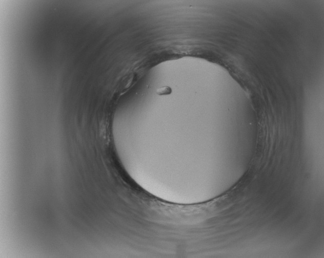 X0000067470031200604281906