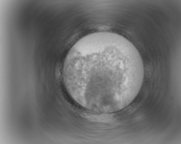 X0000067470032200604281906