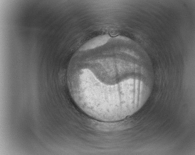 X0000067470034200604281905