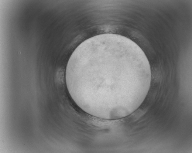 X0000067470036200604281905