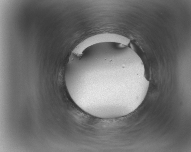 X0000067470037200604281905