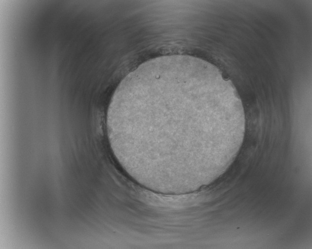 X0000067470038200604281905