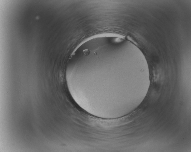 X0000067470039200604281905