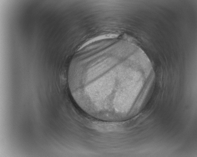 X0000067470040200604281905