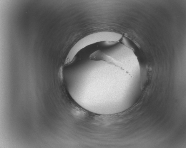 X0000067470041200604281905