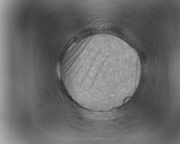 X0000067470042200604281905