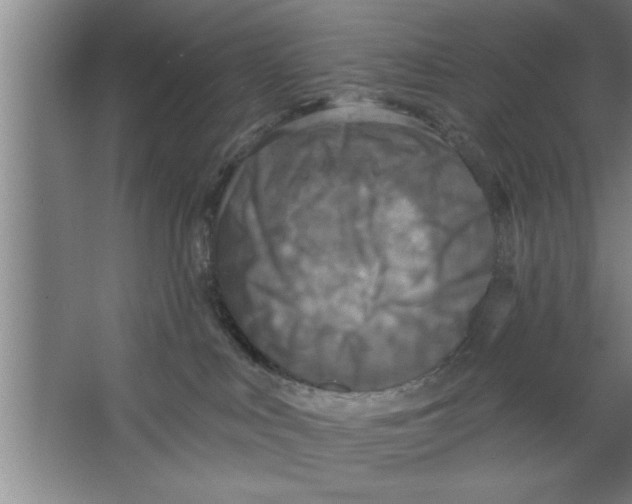 X0000067470043200604281905