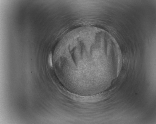 X0000067470046200604281905