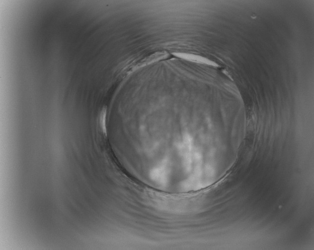 X0000067470047200604281905