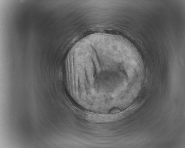 X0000067470048200604281905