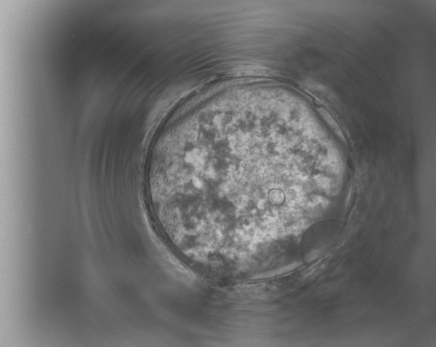 X0000067470049200604281904