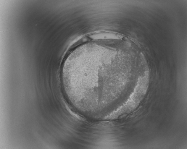 X0000067470050200604281904