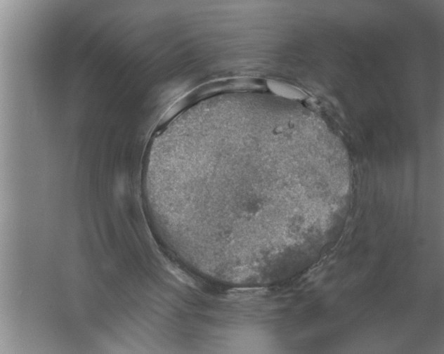 X0000067470051200604281904